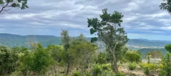 قطعة أرض في Castell-Platja d'Aro, Spain رقم 114840 42