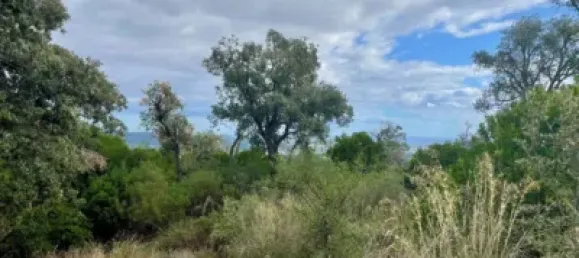 قطعة أرض في Castell-Platja d'Aro, Spain رقم 114840 36