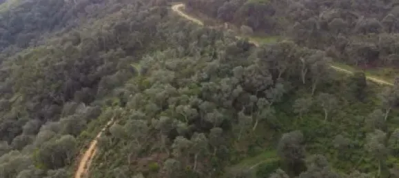 قطعة أرض في Castell-Platja d'Aro, Spain رقم 114840 20