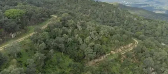 قطعة أرض في Castell-Platja d'Aro, Spain رقم 114840 25