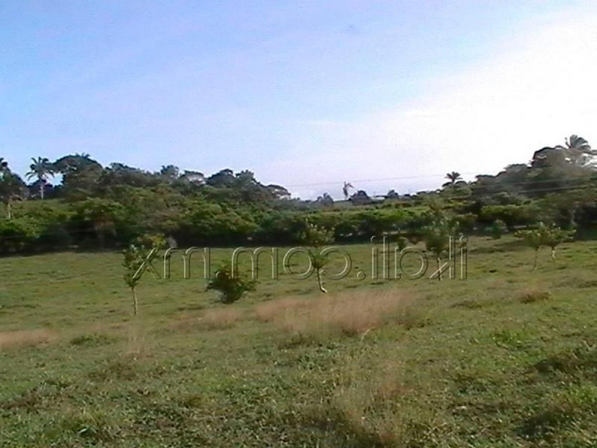 Terrain à Veracruz, Mexico No. 203176