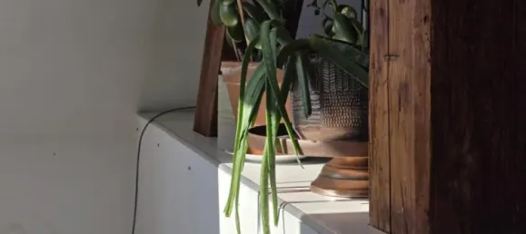 5غرفة منزل ذو طابقين في Graz, Austria رقم 1928 11