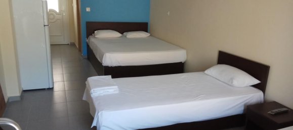 Таунхаус 400м² в Халкидики, Центральная Македония, Македония и Фракия, Греция № 4214 3