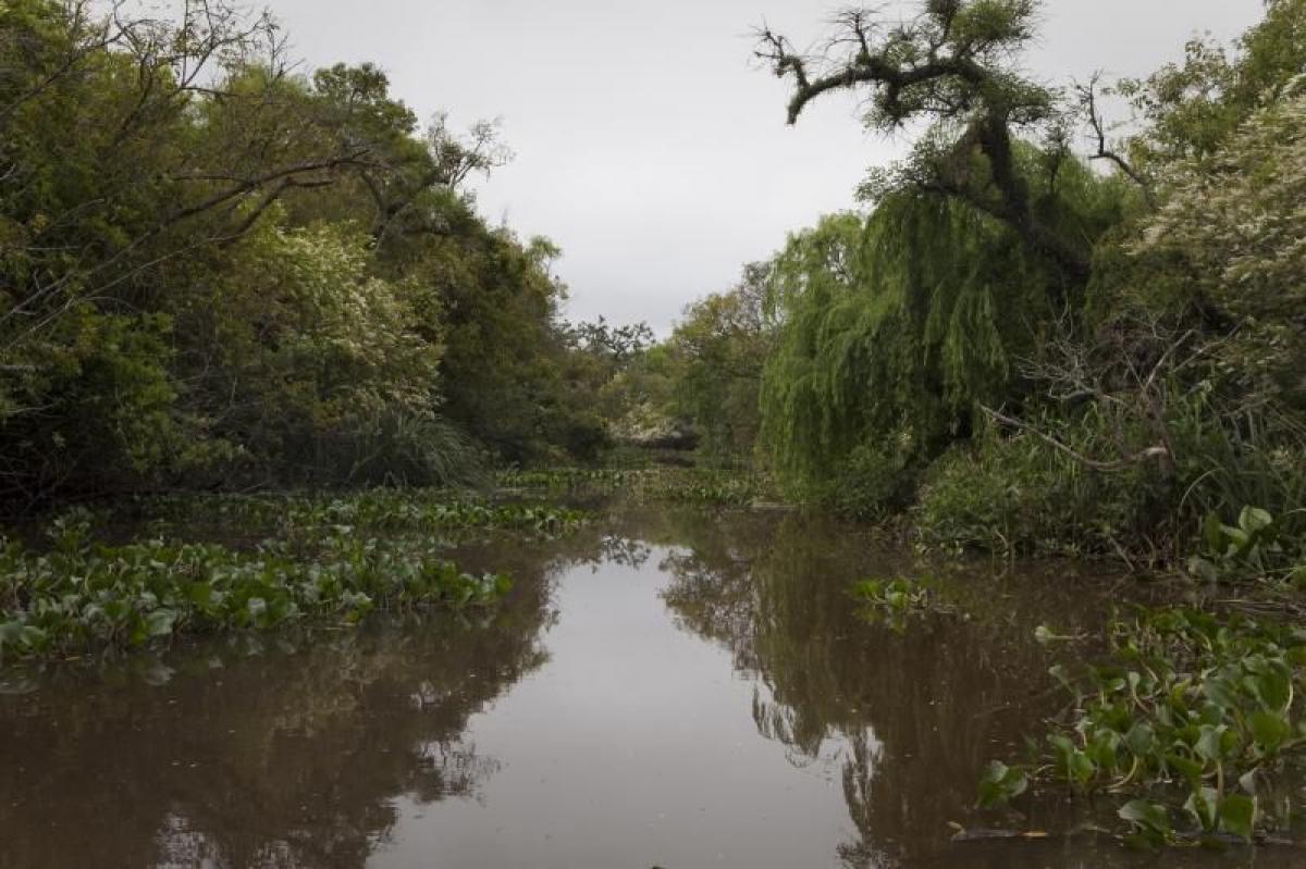  Land in Tigre, Argentina No. 112632