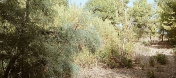 Дом с 7 спальнями в Маруджо, Италия № 319316 7