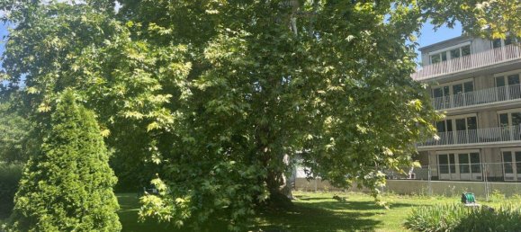 3 rooms Apartment in Ebreichsdorf, Austria No. 198912 3