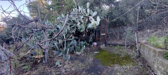 1 chambre Appartement à Lipari, Italy No. 271309 12