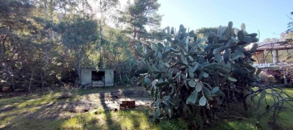 1 chambre Appartement à Lipari, Italy No. 271309 9