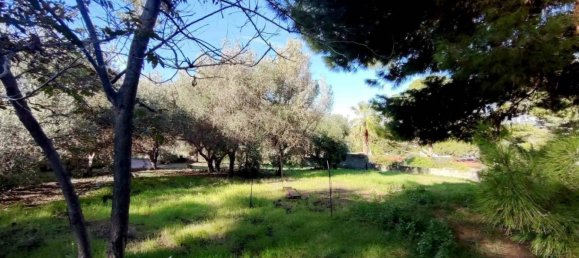 1 chambre Appartement à Lipari, Italy No. 271309 8