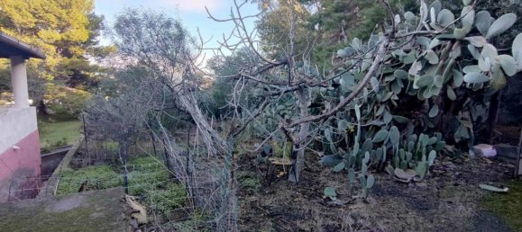 1 chambre Appartement à Lipari, Italy No. 271309 11