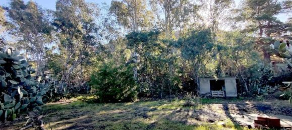 1 chambre Appartement à Lipari, Italy No. 271309 7