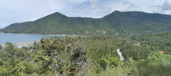  قطعة أرض في Surat Thani, Thailand رقم 73982 3