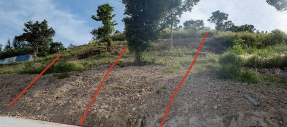  قطعة أرض في Surat Thani, Thailand رقم 73982 4