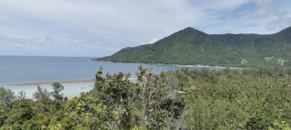  قطعة أرض في Surat Thani, Thailand رقم 73982 2