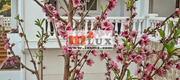 5 bedrooms Villa in Cabrils, Spain No. 13323 3