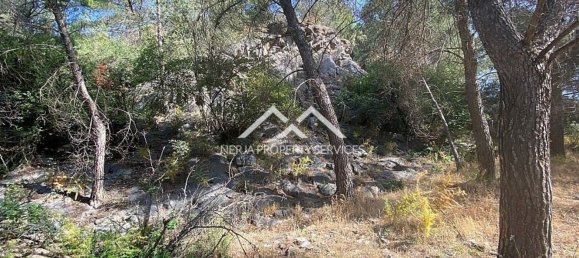  قطعة أرض في Frigiliana, Spain 29807متر مربع رقم 133660 23