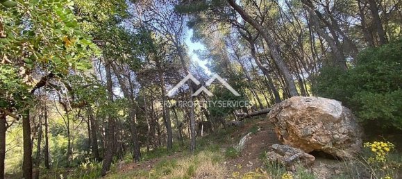  قطعة أرض في Frigiliana, Spain 29807متر مربع رقم 133660 10