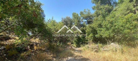  قطعة أرض في Frigiliana, Spain 29807متر مربع رقم 133660 32