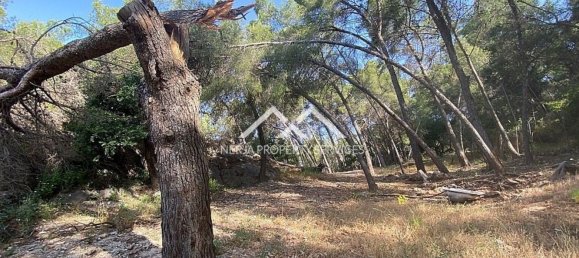  قطعة أرض في Frigiliana, Spain 29807متر مربع رقم 133660 13