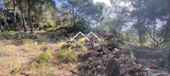  قطعة أرض في Frigiliana, Spain 29807متر مربع رقم 133660 15