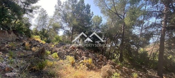  قطعة أرض في Frigiliana, Spain 29807متر مربع رقم 133660 16