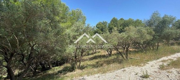  قطعة أرض في Frigiliana, Spain 29807متر مربع رقم 133660 26