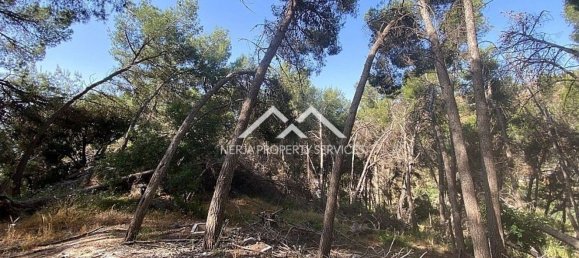  قطعة أرض في Frigiliana, Spain 29807متر مربع رقم 133660 20