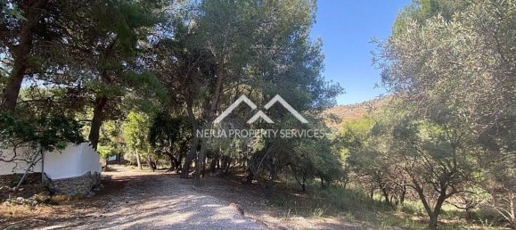  قطعة أرض في Frigiliana, Spain 29807متر مربع رقم 133660 29