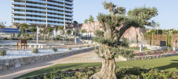 Apartamento T2 em Benidorm, Spain N.º 4856 15