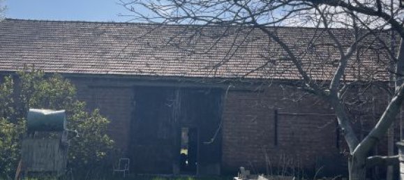 9غرفة قطعة أرض في Traiskirchen, Austria رقم 150686 5