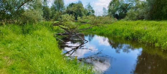 Дом с 7 комнатами в Люнебург, Германия № 151899 29