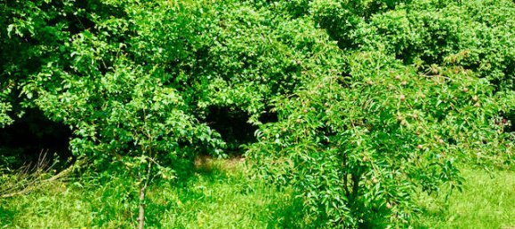 Дом с 7 комнатами в Люнебург, Германия № 151899 33