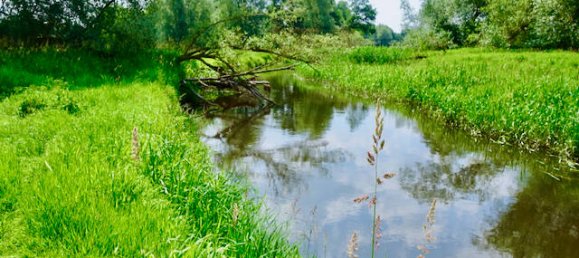 Дом с 7 комнатами в Люнебург, Германия № 151899 4