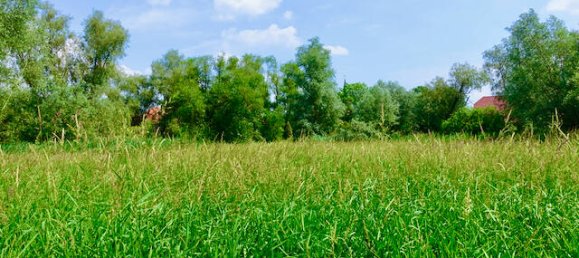 Дом с 7 комнатами в Люнебург, Германия № 151899 39