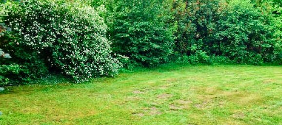 Дом с 7 комнатами в Люнебург, Германия № 151899 31