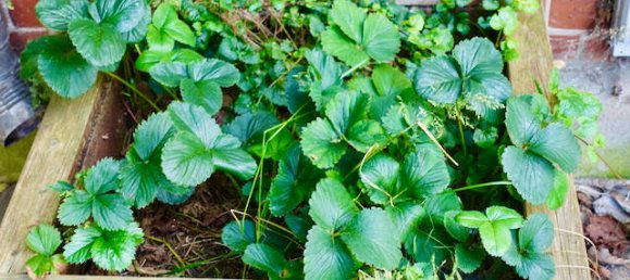 Дом с 7 комнатами в Люнебург, Германия № 151899 26