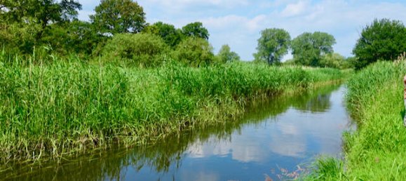 Дом с 7 комнатами в Люнебург, Германия № 151899 28