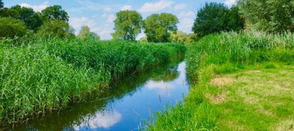 Дом с 7 комнатами в Люнебург, Германия № 151899 30