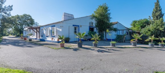 13 chambres Terrain à Grandola, Portugal No. 102181 4