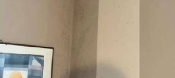 Apartamento T1 em Albano Laziale, Italy N.º 206052 49