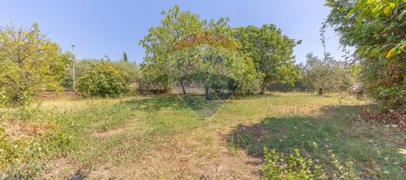 8 غرف نوم فيلا في Palestrina, Italy رقم 335440 12