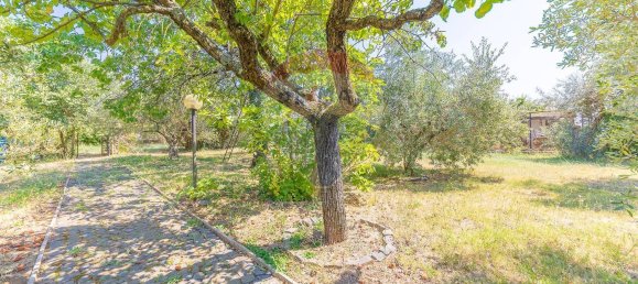 8 غرف نوم فيلا في Palestrina, Italy رقم 335440 11