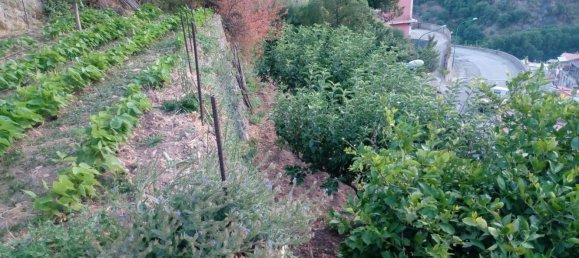 Дом с 3 комнатами в Манданичи, Италия № 256126 5