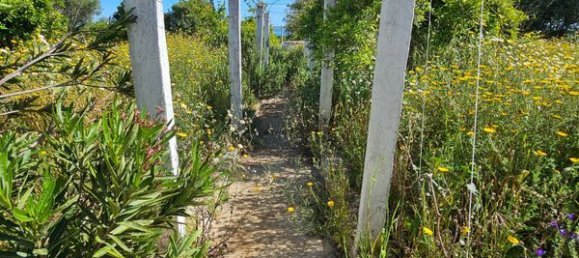 Дом с 5 спальнями в Ольян, Португалия № 29077 31