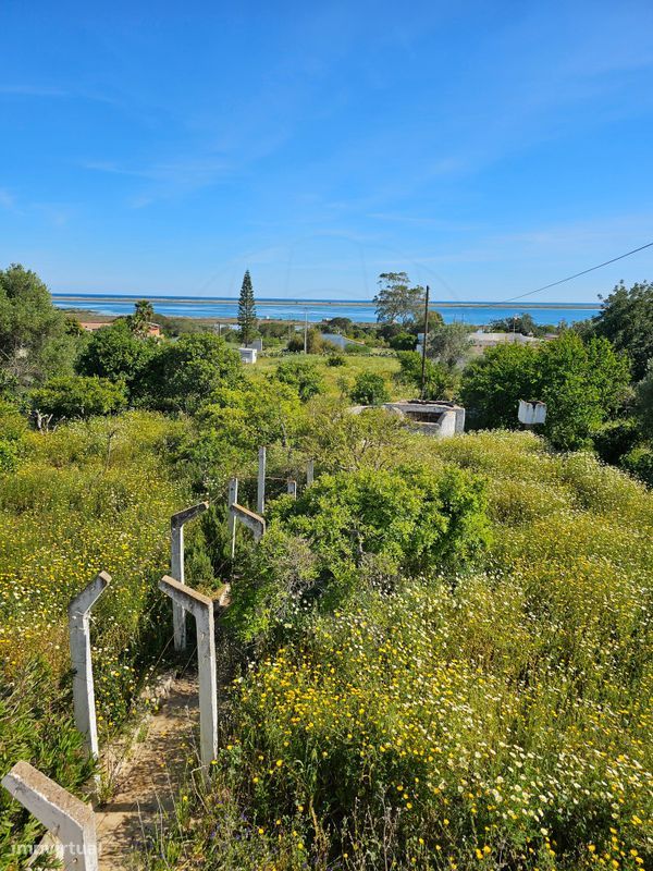 Дом с 5 спальнями в Ольян, Португалия № 29077