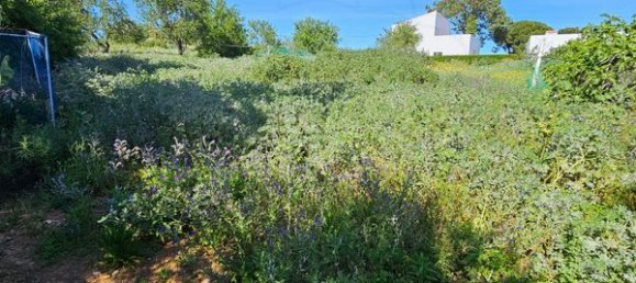 Дом с 5 спальнями в Ольян, Португалия № 29077 17