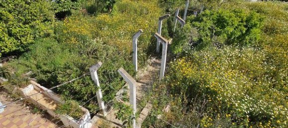 Дом с 5 спальнями в Ольян, Португалия № 29077 15