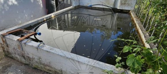 Дом с 5 спальнями в Ольян, Португалия № 29077 19