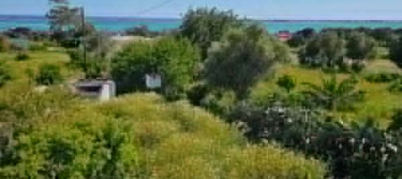 Дом с 5 спальнями в Ольян, Португалия № 29077 11