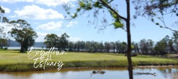 829.6m² Land in Boydtown, Australia No. 1044 6